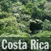 costa-rica-bandera