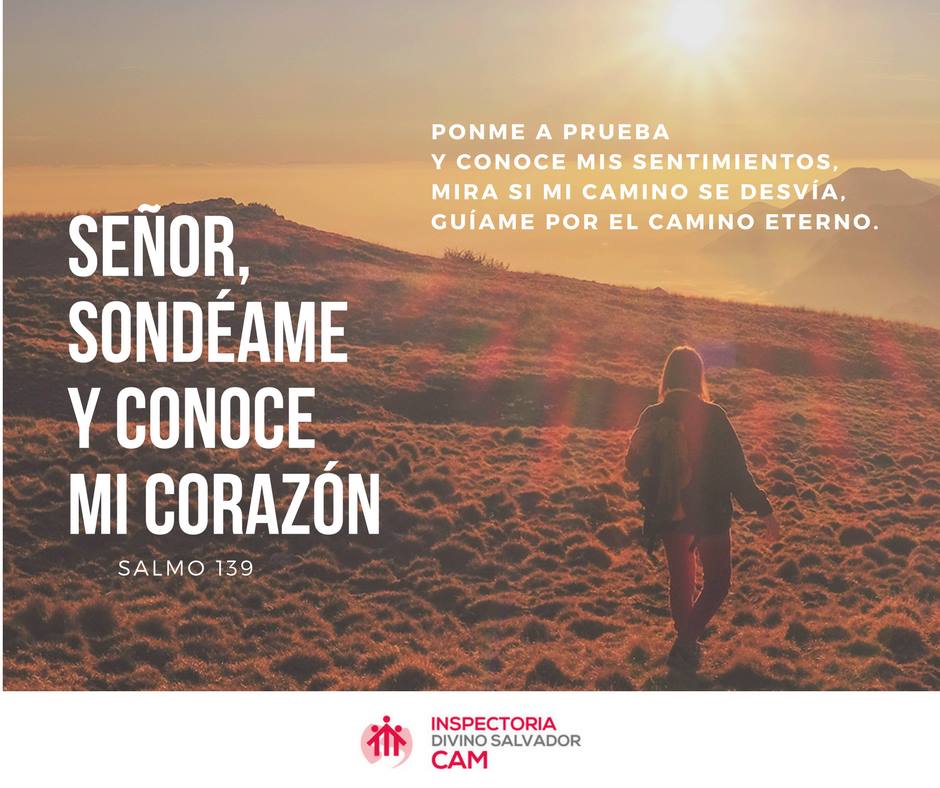 comunicacion-social-publicaciones-insumos-pastorales